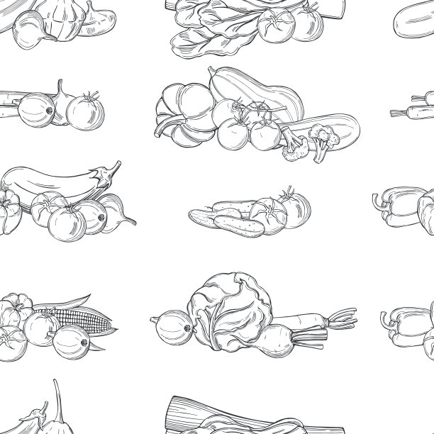 蔬菜。矢量模式图片下载