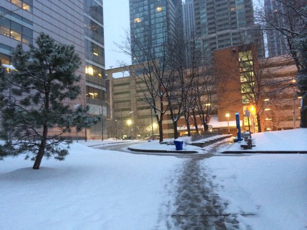 多伦多冬天的行人图片下载