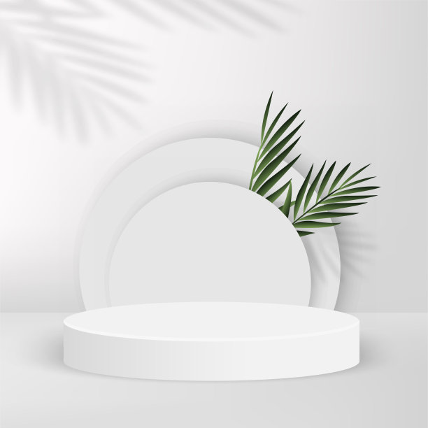 抽象的背景与白色几何三维平台。矢量图图片下载