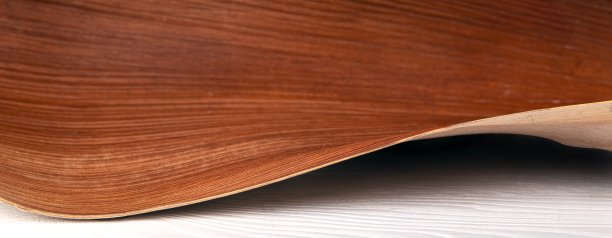 波浪状的棕榈叶图片下载