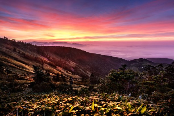 日本群马县涉岭夏日黎明风光图片下载