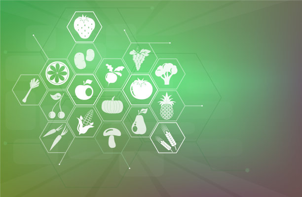 素食主义旗帜健康背景有机食品图片下载