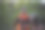 我们的森林，我们的汽车库存照片图片下载