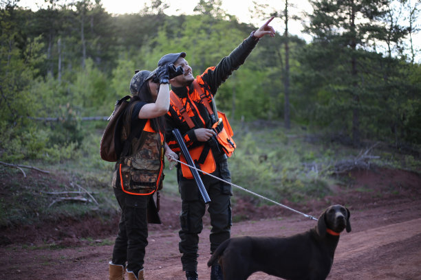我们的森林，我们的汽车库存照片图片下载