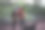 我们的森林，我们的汽车库存照片图片下载