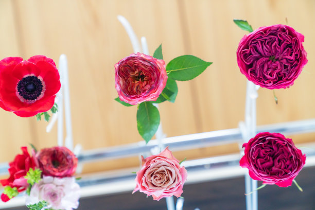 这是一张制作干玫瑰花过程的照片。花干燥的状态。图片下载