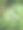 舞会的美人。图片下载