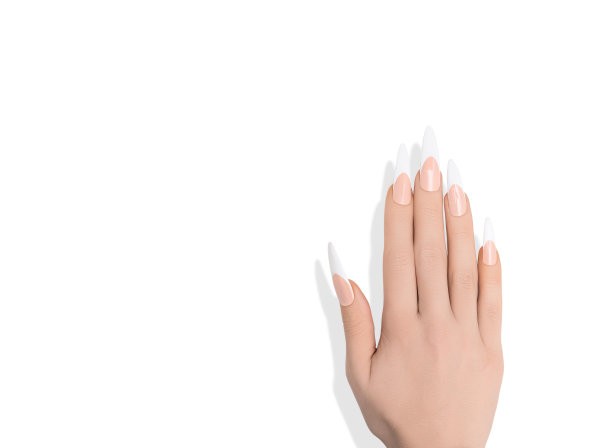 女性手与长法式指甲设计。长长的法式指甲油。女人的手孤立在白色背景上。图片下载