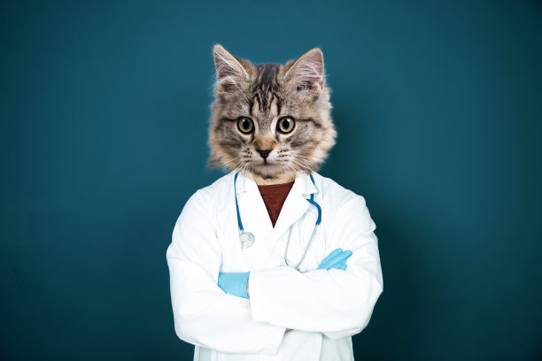 猫头医生的现代艺术拼贴画。图片下载