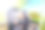 公园里婴儿车里的快乐小男孩。图片下载