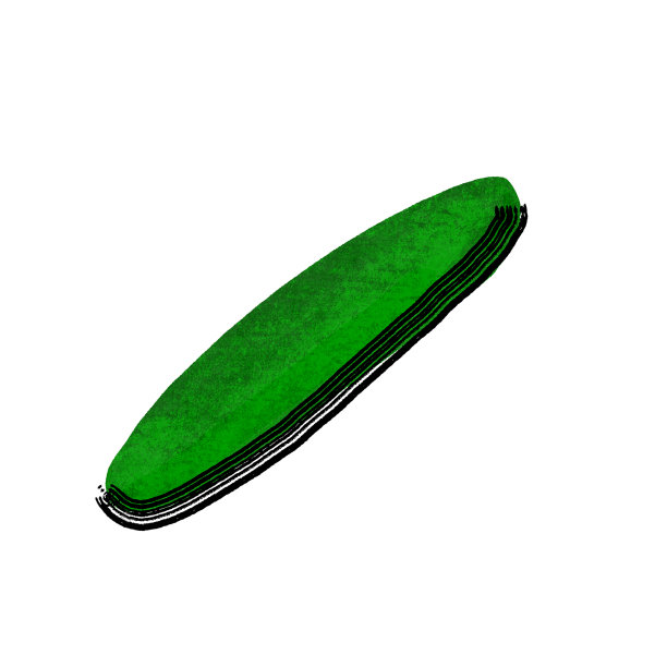 风格化黄瓜插图上白色图片下载
