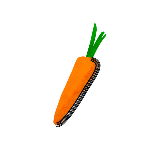 风格化胡萝卜插图上的白色图片下载