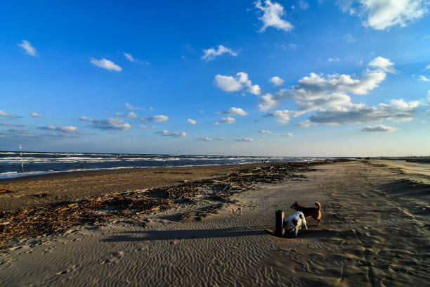 男人在路上，数码照片照片作为背景图片下载