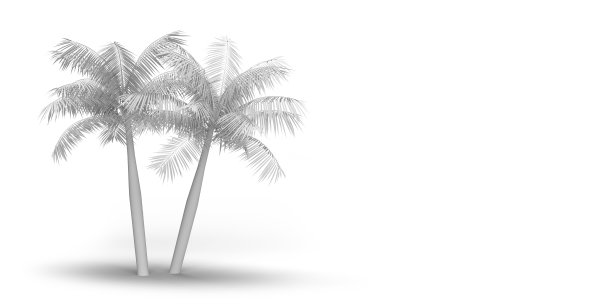 两个3d渲染的灰色棕榈树在白色背景与复制空间。图片下载