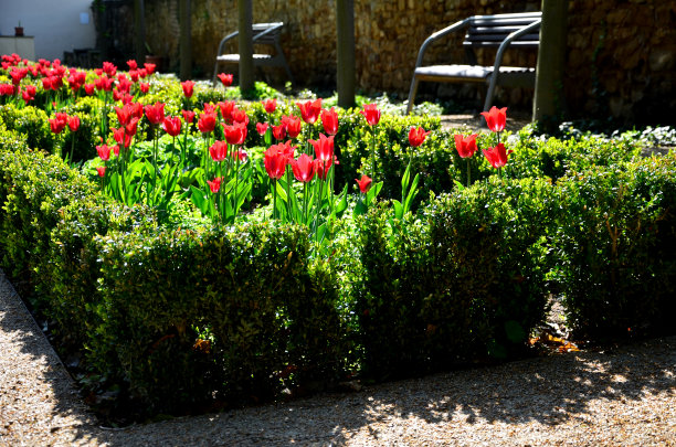 公园里的装饰性黄杨木树篱和米色小径。水球一种石头陶瓷球，水从中流出来图片下载