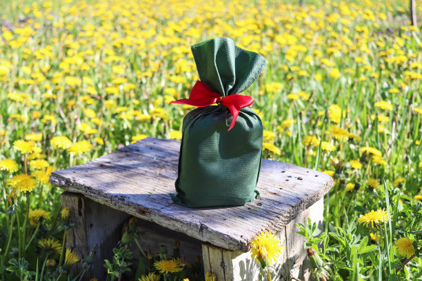 绿色袋子上的木椅在野外。图片下载