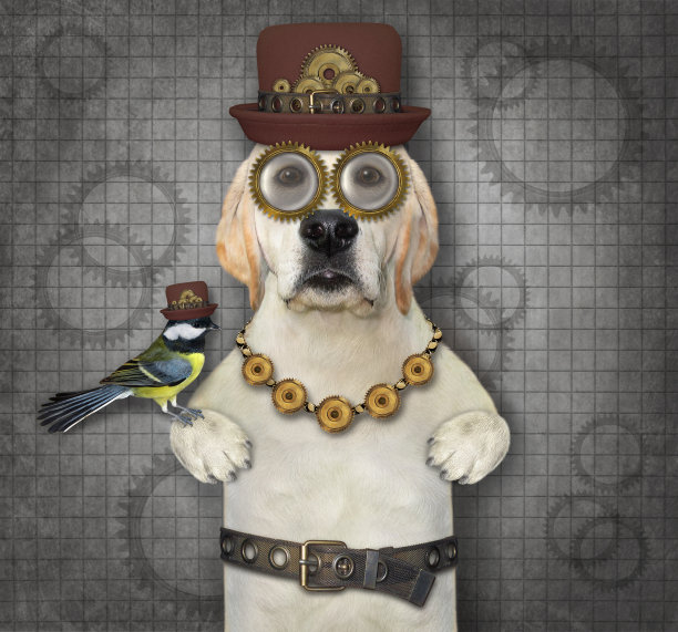 狗拉布拉多是蒸汽朋克3图片下载