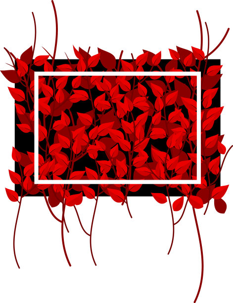 热带叶图案背景图片下载