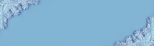 以蓝色背景上的蓝色冷杉树枝为边角的圣诞横幅图片下载