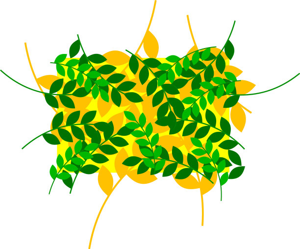 热带叶图案背景图片下载