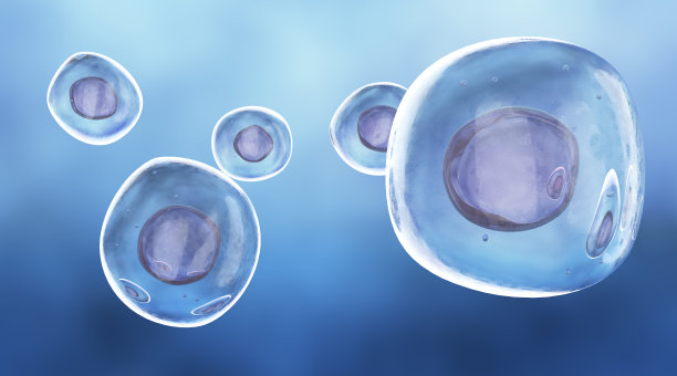 人类干细胞图片下载