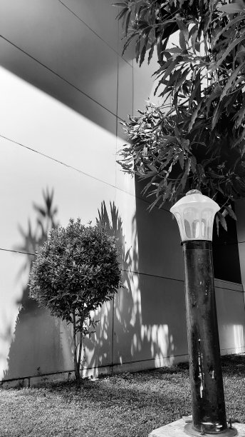 印度尼西亚(2021年5月4日):黑白照片中，侧花园的灯光，树荫，绿草和盆景植物。复古时光往昔回忆倒叙怀旧都市生活都市风格灰色图片下载