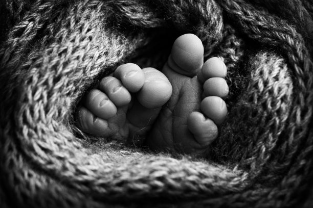 新生儿腿的照片。婴儿脚覆盖羊毛孤立的背景。新生儿的小脚在软选择焦点。脚底的黑白图像。图片下载