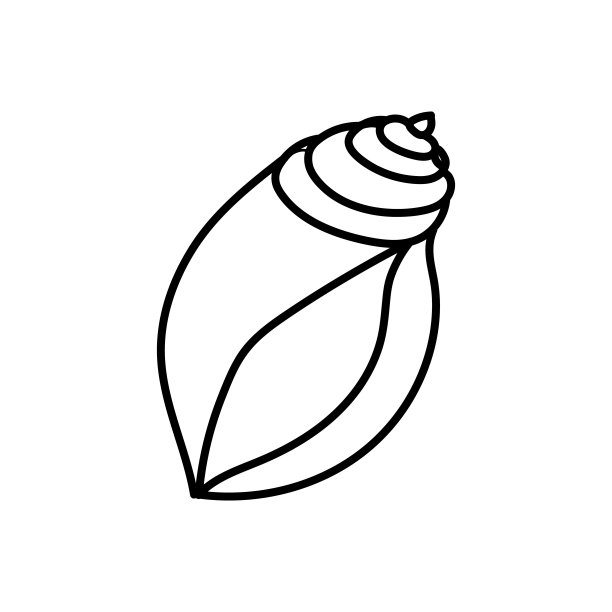 壳。海洋和海洋生物。向量。孤立在白色背景上。美丽的贝壳图标。矢量图形。图片下载