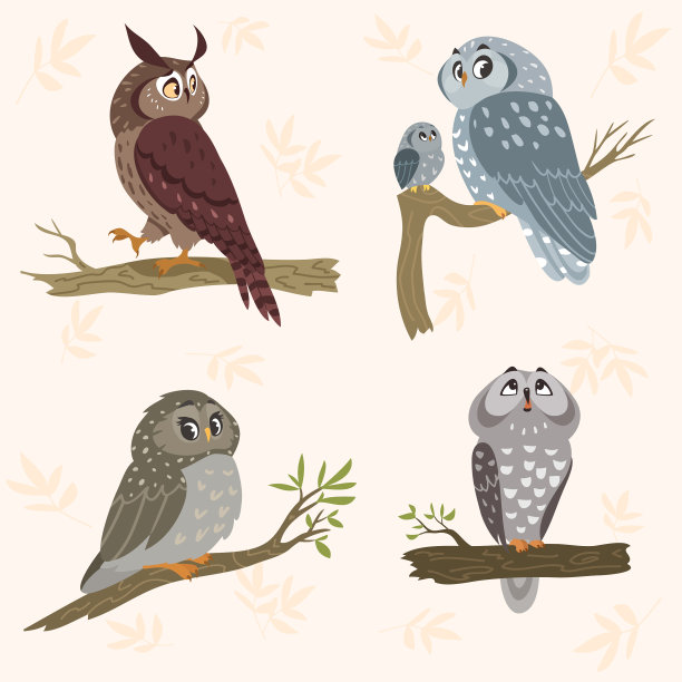猫头鹰集图片下载