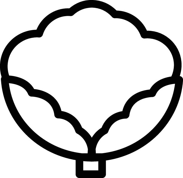 卷心菜图片下载