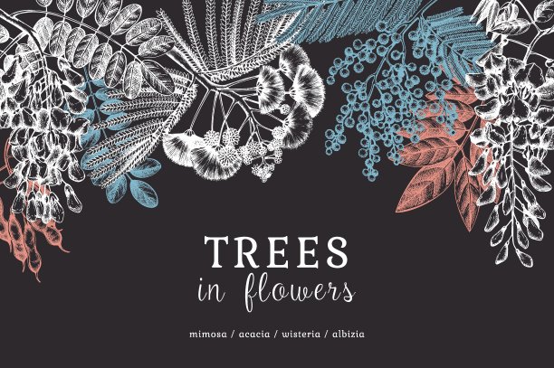 矢量旗帜与手绘树在花。图片下载