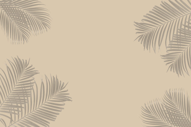 顶视图的热带棕榈叶阴影在灰色的背景。最小的夏天的概念。平躺图片下载