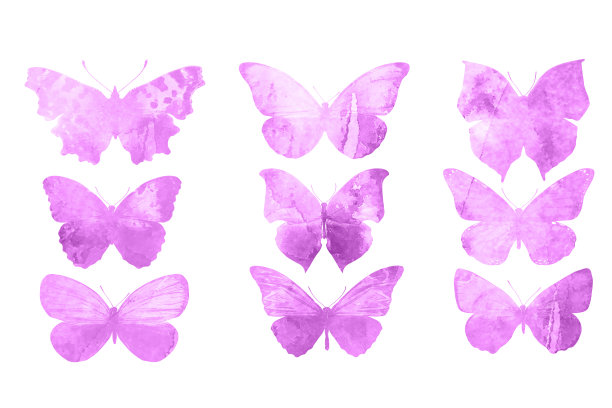 粉红色的蝴蝶孤立在白色的背景上。热带蛾。设计的昆虫。水彩颜料图片下载