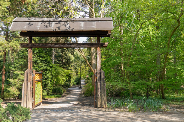 森林植物园，科隆图片下载