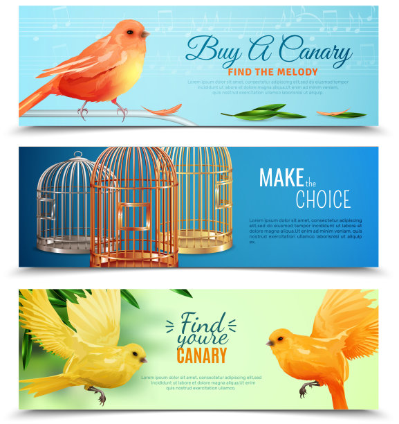 金丝雀和鸟笼横幅图片下载