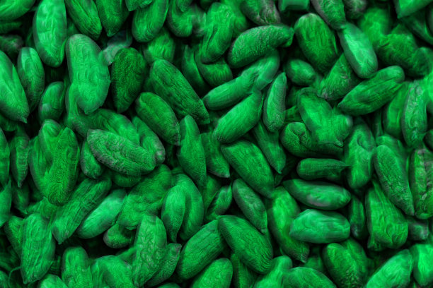 绿色黑色抽象背景。插图设计。副本的空间。图片下载