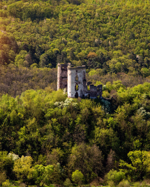 努尔基夫村的切尔沃诺赫拉德城堡遗址。乌克兰图片下载