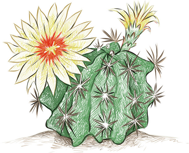 手画凤爪或刺猬爪图片下载