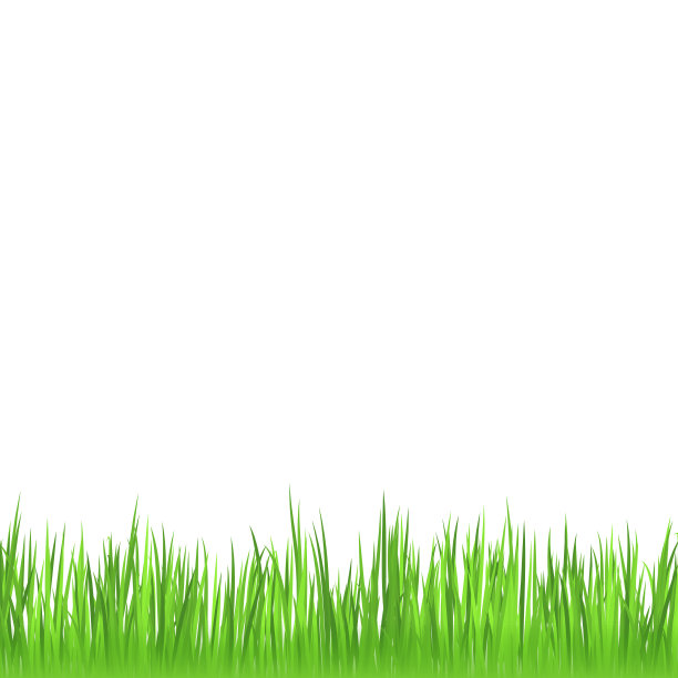 真实的绿色草地草在白色的背景-向量图片下载