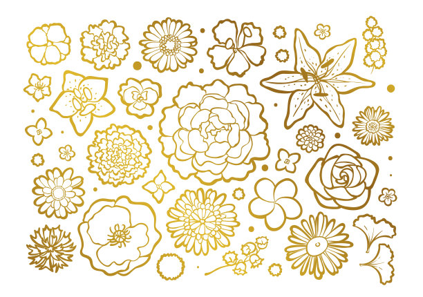 花蕾集合，俯视图。金色的金属框架图片下载