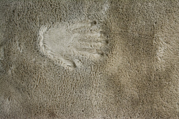 手形绒毛抹布痕迹图片下载