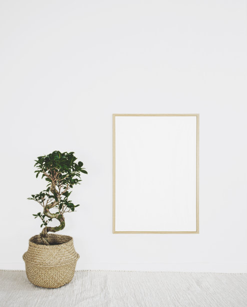 东方框架模型图片下载