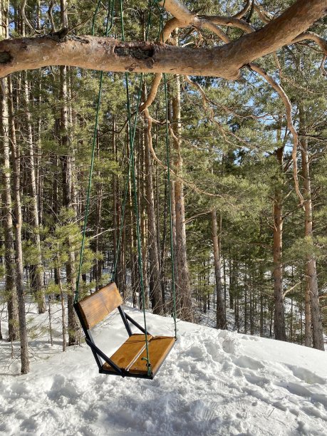 雪的山图片下载