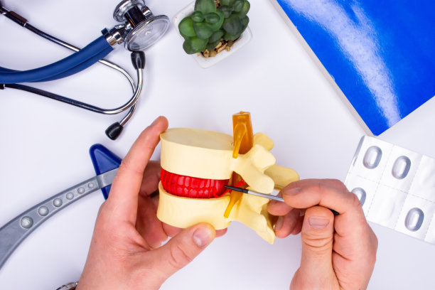 背部疼痛及其诊断和治疗概念照片。医生在人体脊柱解剖模型上用两椎体俯视图向患者展示疼痛的原因-椎间盘突出或突出的部位图片下载