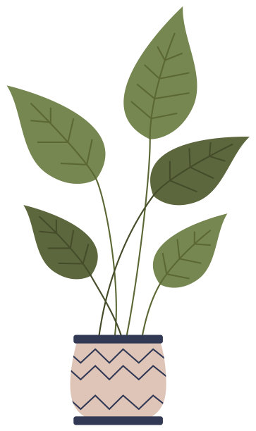 装饰用的绿色植物，长叶，陶瓷图片下载