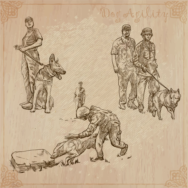 狗训练收集包徒手图片下载