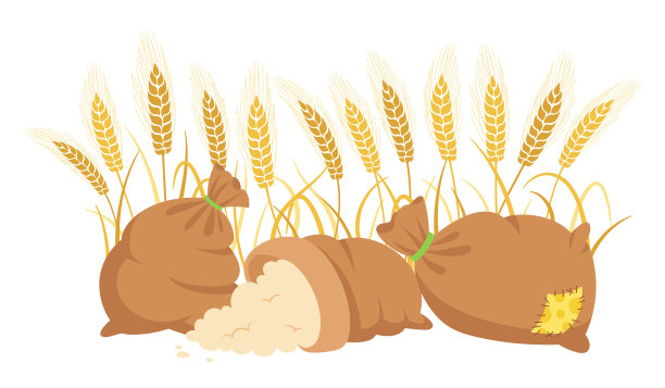 袋堆面粉和小麦穗小穗图片下载