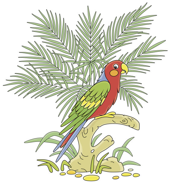 热带丛林里有趣的彩色鹦鹉图片下载