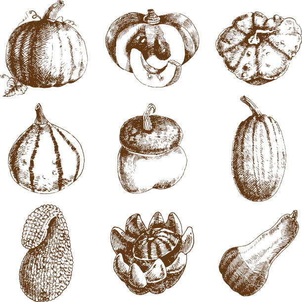 南瓜手画图标设置涂鸦图片下载