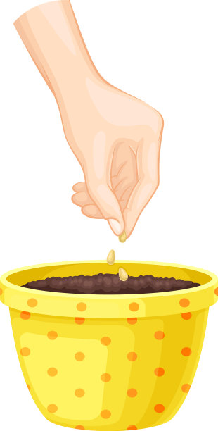 用手在花盆的土壤中播种图片下载